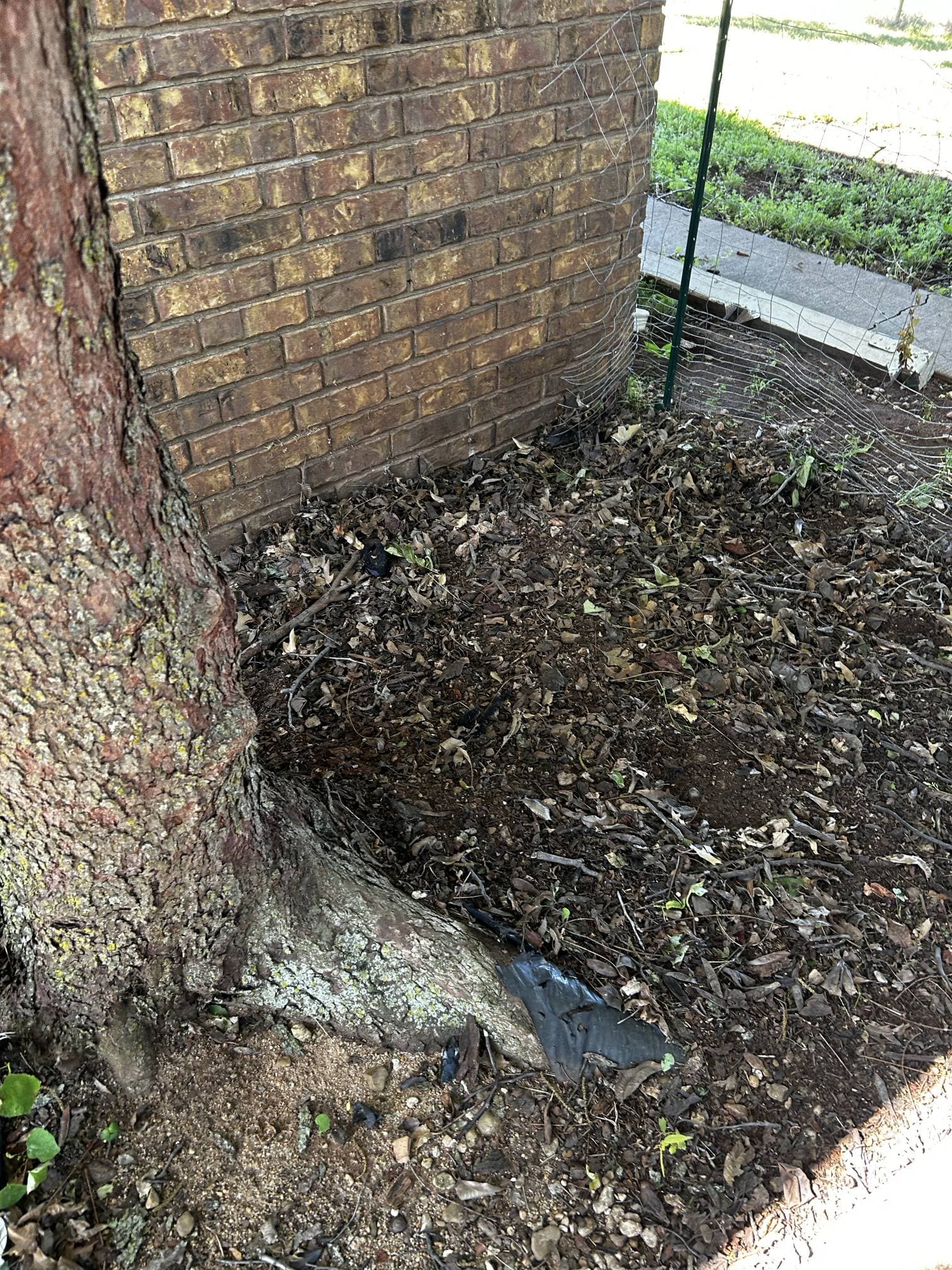 Area beside house after concrete and debris removal — cleared and clean